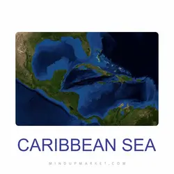 دستبند کارائیب (CARIBBEAN)