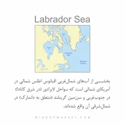 دستبند لابرادور (LABRADOR)