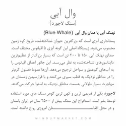 حلقه BLUE WALE (وال آبی)