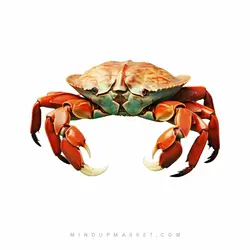 دستبند خرچنگ (LOBSTER)