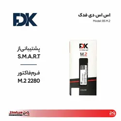 اس اس دی اینترنال فدک مدل B5 M.2 ظرفیت 256 گیگابایت - کامپیوتر میراکل