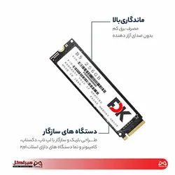 اس اس دی اینترنال فدک مدل B5 M.2 ظرفیت 256 گیگابایت - کامپیوتر میراکل
