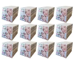 پودر موبر برتر 507 مدل 202 وزن 50 گرم مجموعه 144 عددی