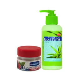 کرم آبرسان انشور بوسوم مدل آلوئه ورا حجم 250 میلی لیتر به همراه کرم مرطوب کننده مدل میوه های قرمز حجم 120 میلی لیتر