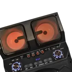 اسپیکر حرفه ای تسکو مدل TS 2091