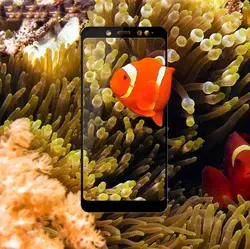 محافظ صفحه تمام چسب شیائومی Mi 5D Glass | Xiaomi Redmi Note 5 Pro