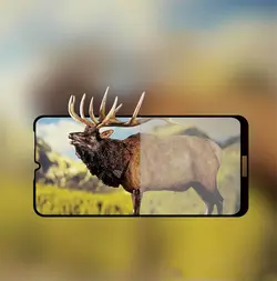 محافظ صفحه پوشش منحنی هواوی Magic Full Coverage 5D Glass | Huawei Y6 Pro 2019