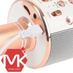 میکروفون اسپیکر بلوتوثی iKaraoke WSTER WS-858 Microphone