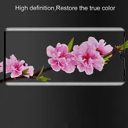 محافظ صفحه تمام منحنی هواوی Magic Full Curved Glass | Huawei P30 Pro