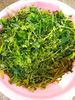سبزی سرخ کرده قرمه سبزی 500گرمی