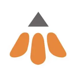 سوزن منگنه صحافى نمره 23/17 سی بی اس