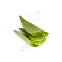 برگ آلوئه ورا (یک عدد)