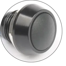 کلید لحظه ای ZS12B-10/CA