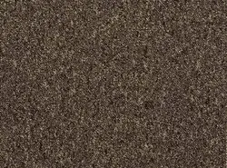 پالاز موکت طرح پونه