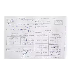 کارت گرافیک ام‌اس‌آی MSI GTX 1060 6G GAMING X GDDR5 Stock