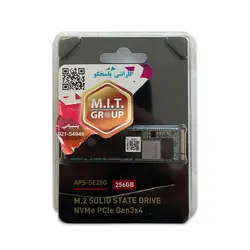 حافظه PIONEER M.2 256GB SSD - کارکرده
