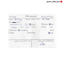 حافظه SSD سامسونگ Samsung 980 EVO NVMe M.2 250GB Stock - با گارانتی آواژنگ تا آوریل 2027
