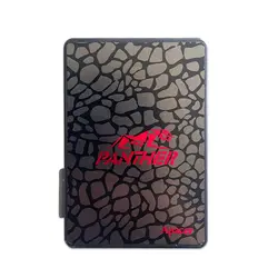 حافظه Apacer Panther 256GB SSD