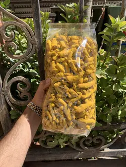 قلم زردچوبه هندی - آقای زعفران