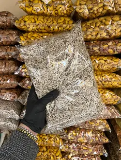 مغز تخمه آفتابگردان خام - آقای زعفران