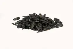 تخمه آفتابگردان شمشیری شور - آقای زعفران