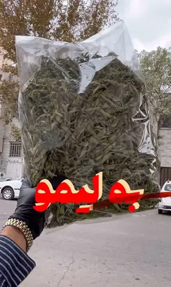 چای به لیمو - آقای زعفران