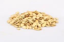 تخمه کدو گوشتی ایرانی - آقای زعفران