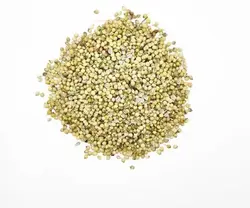 تخم گشنیز درجه 1 - آقای زعفران