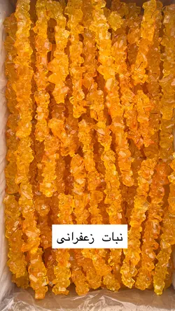 نبات شاخه سه بار زعفرانی - آقای زعفران