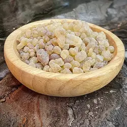 کندر - آقای زعفران