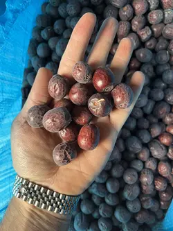 عناب درشت امسالی درشت آب نخورده - آقای زعفران