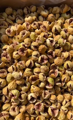 انجیر فوق پرک - آقای زعفران