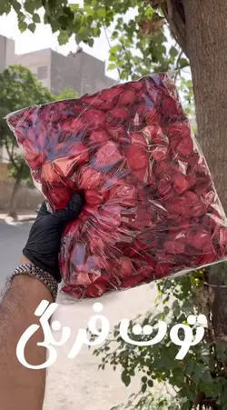 میوه ی خشک توت فرنگی - آقای زعفران