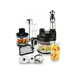 غذاساز دلمونتی مدل DL395