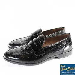 کالج مردانه لبخند کروکودیلی