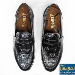 کالج مردانه لبخند کروکودیلی