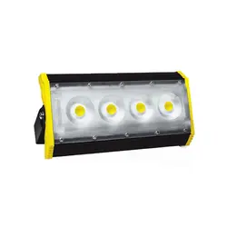 قیمت پروژکتور 50 وات MCOB LED پارس شعاع توس مدل آتریا | نقش مارکت