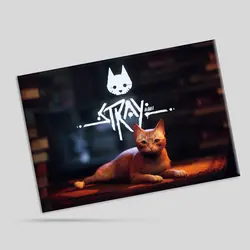 تابلو شاسی Stray (A4) | فروشگاه نخل مارکت