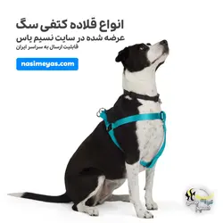 قلاده کتفی با لید برای انواع سگ سایز 2