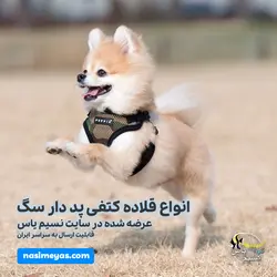 قلاده کتفی پد دار سگ با لید سایز یک ساده