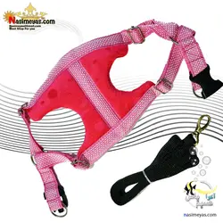 قلاده کتفی پد دار سگ با لید سایز 2 ساده