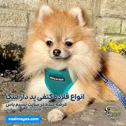 قلاده کتفی پد دار سگ با لید سایز 2 ساده