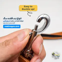 لید یا بند قلاده برزنتی با دسته دو لایه هند این هند