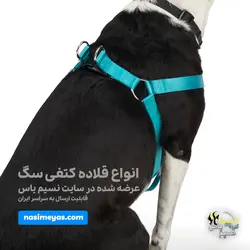 قلاده کتفی با لید برای انواع سگ سایز یک طرح رنگین کمان