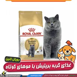 غذای گربه بریتیش با موی کوتاه بالغ رویال کنین