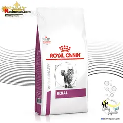 غذای گربه رنال با مشکل کلیه رویال کنین