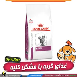 غذای گربه رنال با مشکل کلیه رویال کنین