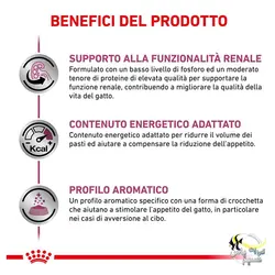 غذای گربه رنال با مشکل کلیه رویال کنین