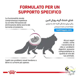 غذای گربه رنال با مشکل کلیه رویال کنین