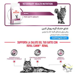 غذای گربه رنال با مشکل کلیه رویال کنین